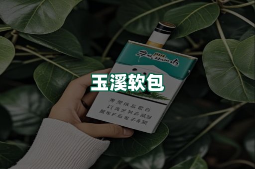玉溪软包